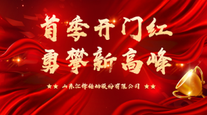 首季開門紅 勇攀新高峰|匯鋒股份第一季度表彰暨工作總結(jié)大會(huì)順利召開